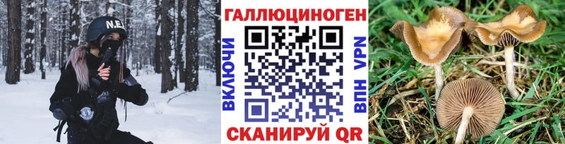 Псилоцибиновые грибы Magic Shrooms  где продают   Краснослободск 